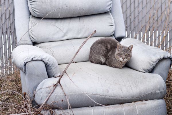 Recliner Disposal in Ponte Vedra Beach